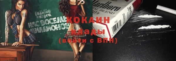 ГАЛЛЮЦИНОГЕННЫЕ ГРИБЫ Михайлов