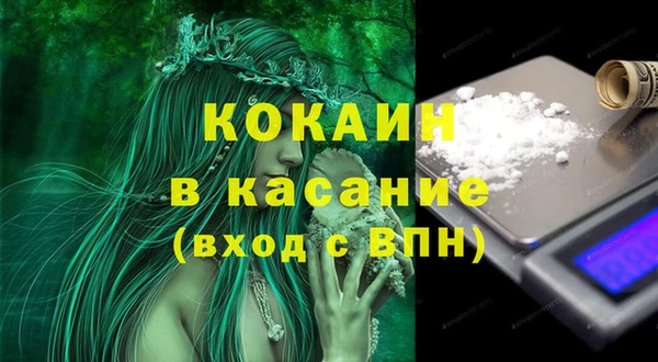 бошки Аркадак