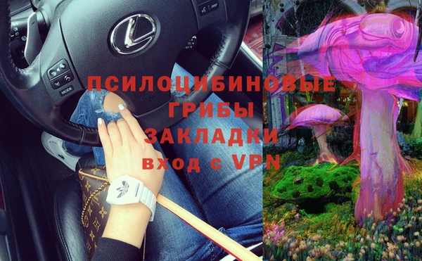 бошки Аркадак