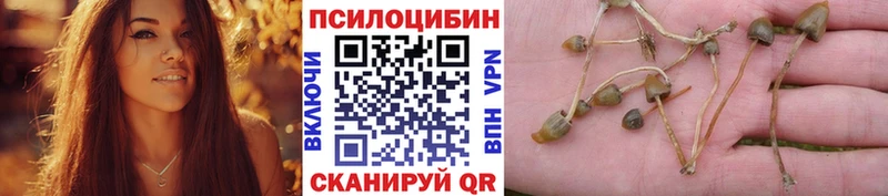 Галлюциногенные грибы мицелий Салаир